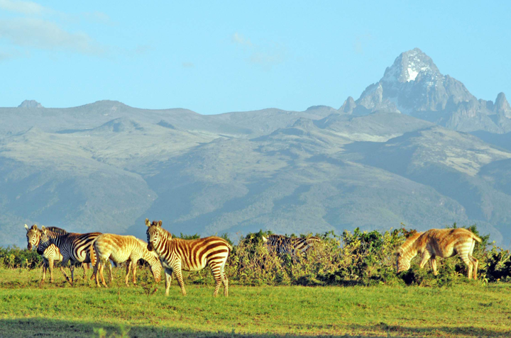 Du lịch Châu Phi 8 ngày khám phá Kenya từ Sài Gòn giá tốt